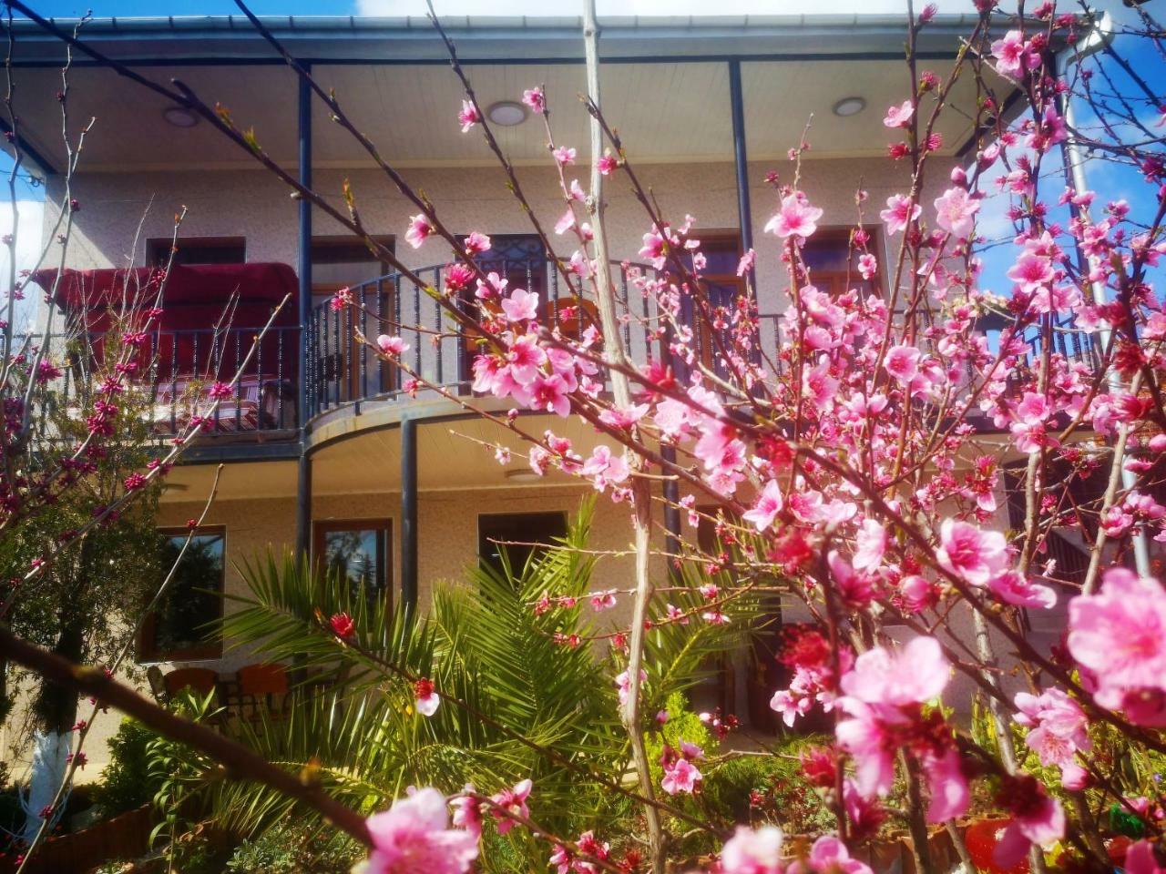 Hostel Sadu 쿠타이시 외부 사진