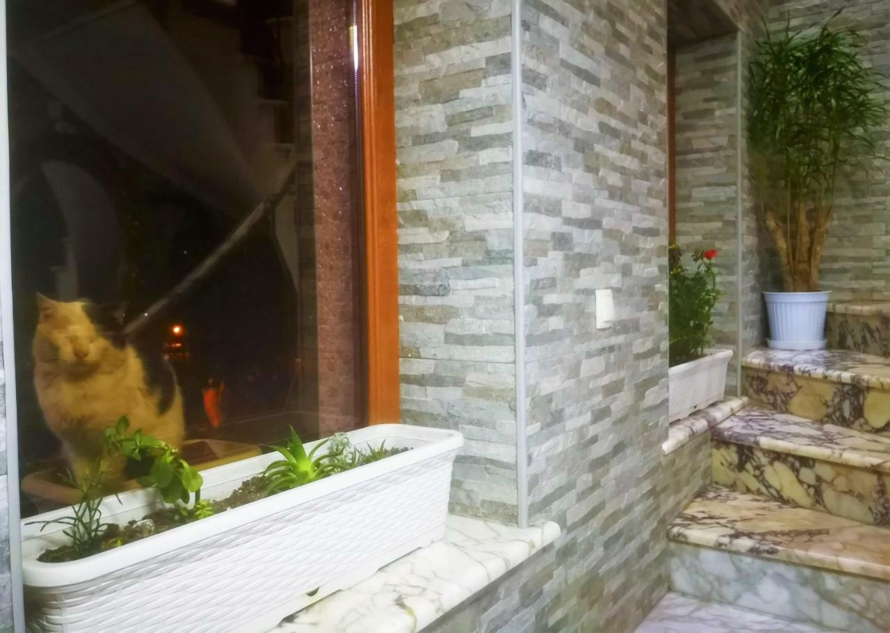 Hostel Sadu 쿠타이시 외부 사진